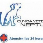 Logo empresa: clínica veterinaria neptuno