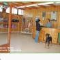 Logo empresa: veterinaria lo barnechea